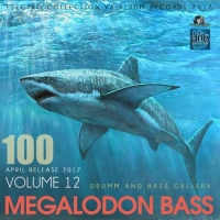 VA - Megalodon Bass Vol 12 (2017) MP3