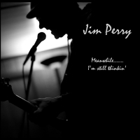 Jim Perry - Meanwhile....I'm Still Thinkin' (2017) MP3