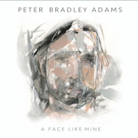Peter Bradley Adams - A Face Like Mine (2017) MP3