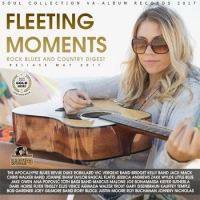VA - Fleeting Moment: Dream Blues Compilation (2017) MP3