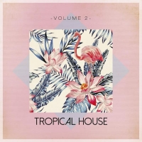 VA - Tropical House Vol. 2 [Tronic Soundz] (2016) MP3