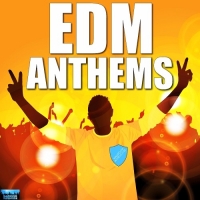  - EDM Process Electrix Anthems (2017) MP3
