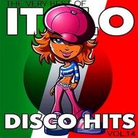 VA - Italo Disco Hits Vol.14 (2017) MP3
