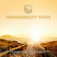 VA - Tranquillity State (2012) MP3  Vanila