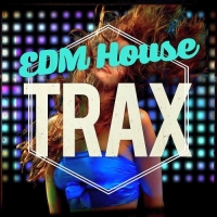  - EDM House Reverse Trax (2017) MP3