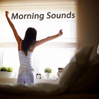 VA - Morning Sounds [The Best Of Extraordinary Chillout Lounge & Downbeat] (2017) MP3