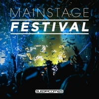 VA - Main Stage Festival (2017) MP3