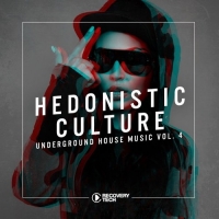 VA - Hedonistic Culture Vol.4 (2017) MP3