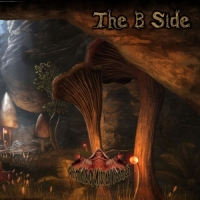 VA - The B Side (2017) MP3
