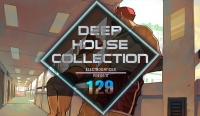 VA - Deep House Collection Vol.129 (2017) MP3