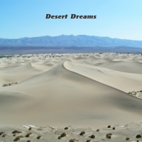 WMRI - Desert Dreams (2007) MP3  Vanila