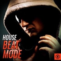VA - House Beat Mode (2017) MP3