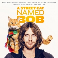 OST -      / A Street Cat Named Bob (2016) MP3