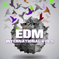 VA - EDM International Vol. 5 (2017) MP3