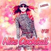  - Hits Cocktail Vol.12 (2017) MP3