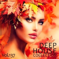  - Deep House Collection Vol.137 (2017) MP3