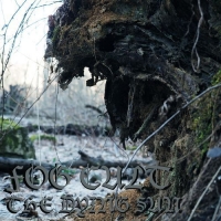 Fog Cult - The Dying Sun (2016) MP3