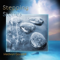 Medwyn Goodall - Stepping Stones: The Very Best of Medwyn Goodall 2000-2017 (2017) MP3