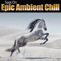 VA - Spot On Epic Ambient Chill (2017) MP3