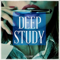 VA - Deep Study Vol.3 [The Ultimate Playlist To Stay Focus At Work, For Study Or Just To Relax] (2017) MP3