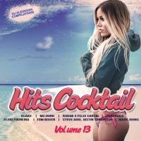  - Hits Cocktail Vol.13 (2017) MP3