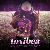 Toxibea - Memories Of The Past (2017) MP3
