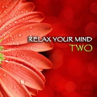 VA - Relax Your Mind Two (2017) MP3