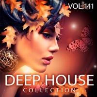  - Deep House Collection Vol.141 (2017) MP3