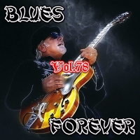 VA - Blues Forever, Vol.78 (2017) MP3
