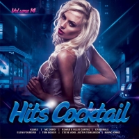  - Hits Cocktail Vol.14 (2017) MP3