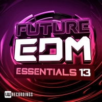 VA - Future EDM Essentials, Vol. 13 (2017) MP3