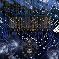 VA - Digital Perception (2017) MP3