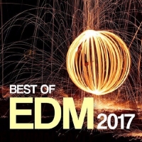  - Best Of EDM (2017) MP3