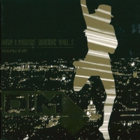 DJ Nils - DIM Lounge Music Vol.1 [2CD] (2008) MP3  Vanila