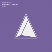 VA - Pure Chill & Ambient Vol.03 (2017) MP3 от Vanila