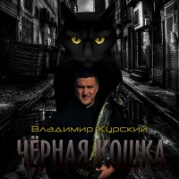 Владимир Курский - Чёрная кошка (2017) MP3