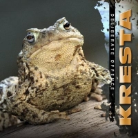 Kresta - Deliberate Offence (2010) MP3
