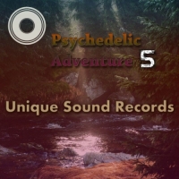 VA - Psychedelic Adventure 5 (2017) MP3