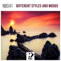 VA - Different Styles and Moods (2018) MP3