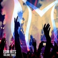 VA - EDM Hits Vol.3 (2018) MP3