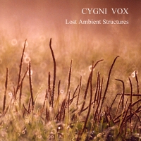 Cygni Vox - Lost Ambient Structures (2017) MP3 от Vanila