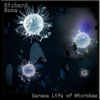 Richard Bone - Serene Life Of Microbes (2006) MP3  Vanila