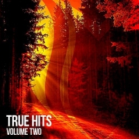 VA - True Hits Vol.2 (2017) MP3
