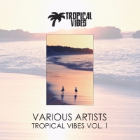 VA - Tropical Vibes vol.1 (2017-2018) MP3