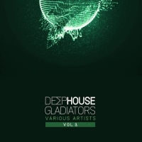 VA - Deep House Gladiators. Vol. 3 (2017) MP3