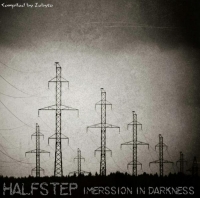 VA - Halfstep - Imerssion In Darkness [Compiled by ZeByte] (2018) MP3