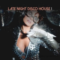 VA - Late Night Disco House, Vol. 1 (2018) MP3
