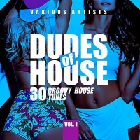 VA - Dudes Of House [30 Groovy House Tunes] Vol.1 (2018) MP3