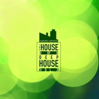 VA - The House Of Deep-House Vol.3 (2018) MP3