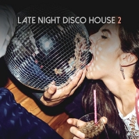 VA - Late Night Disco House Vol.2 (2018) MP3